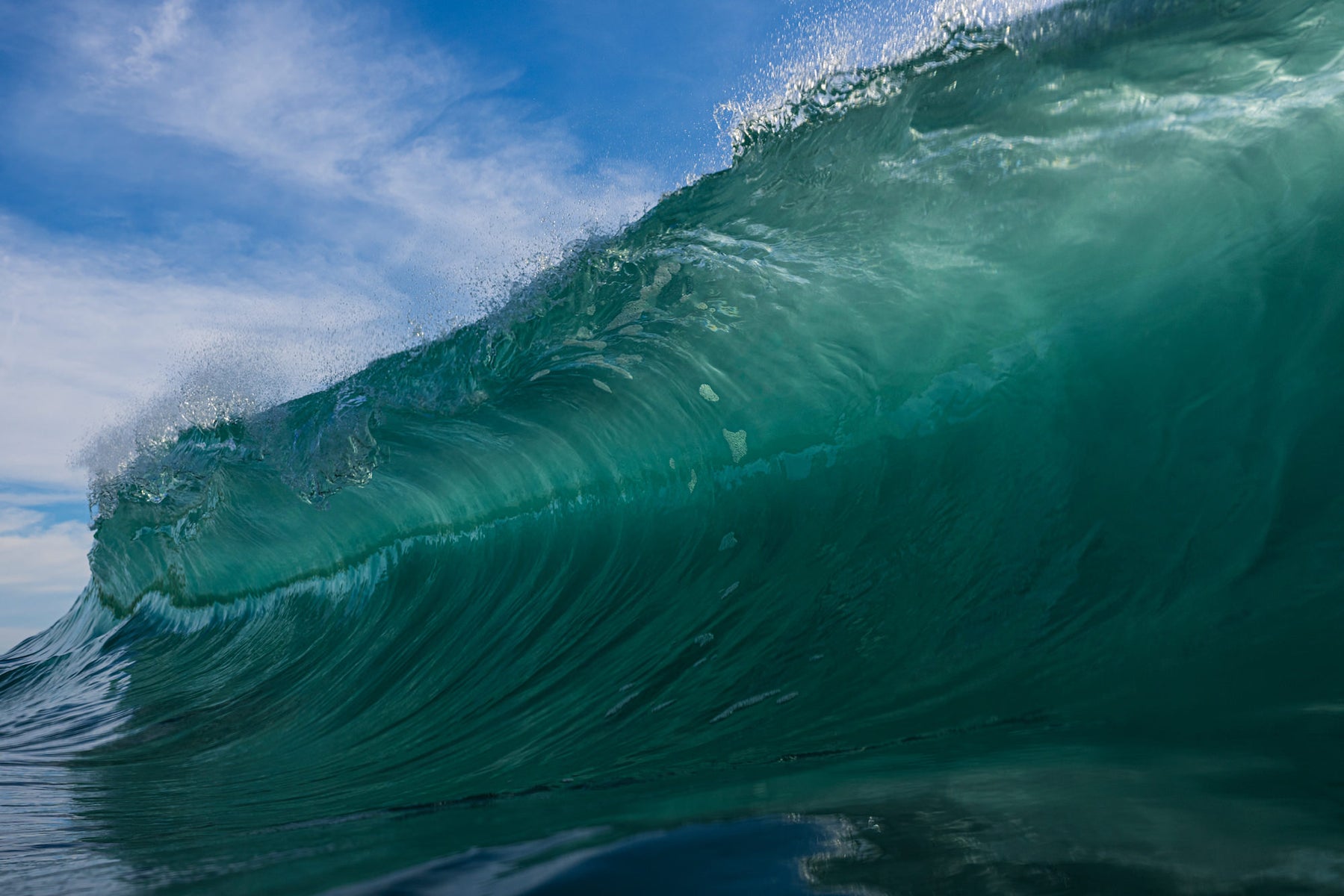 https://alphauniverseglobal.media.zestyio.com/Alpha-Universe-StanMoniz-SURF-16.jpg?height=1200&fit=bounds