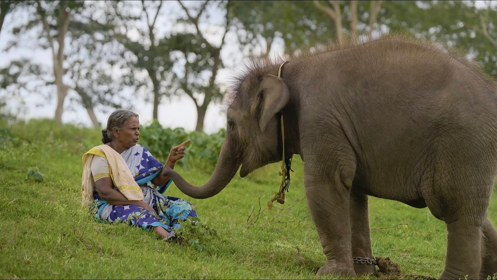 The Making Of 'The Elephant Whisperers' & The Power Of Story To Change