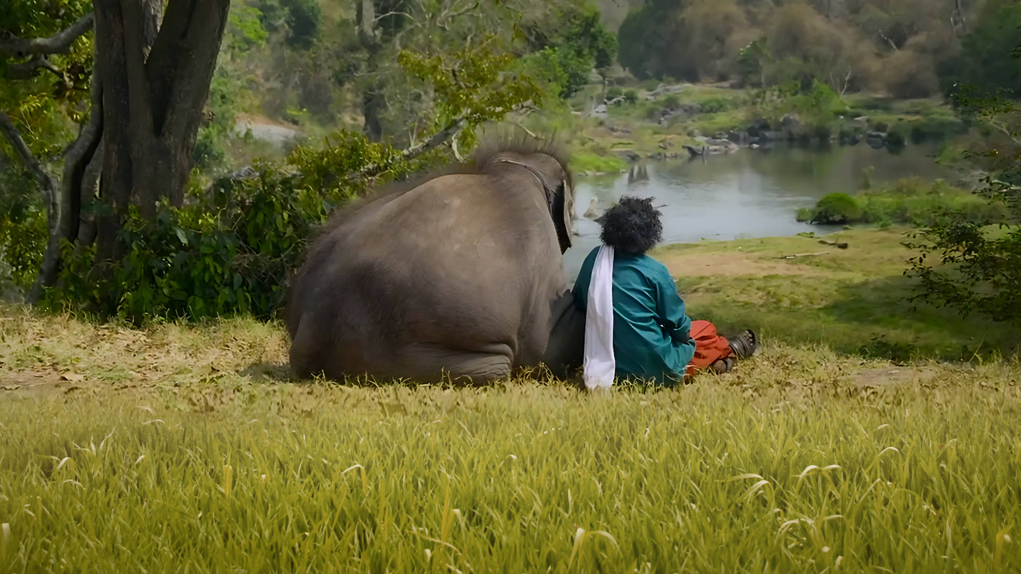 The Elephant Whisperers - Kartiki Gonsalves