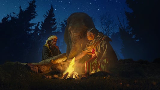 https://alphauniverseglobal.media.zestyio.com/Alpha-Universe-The-Elephant-Whisperers-Kartiki-Gonsalves-15.jpg?height=300&fit=bounds