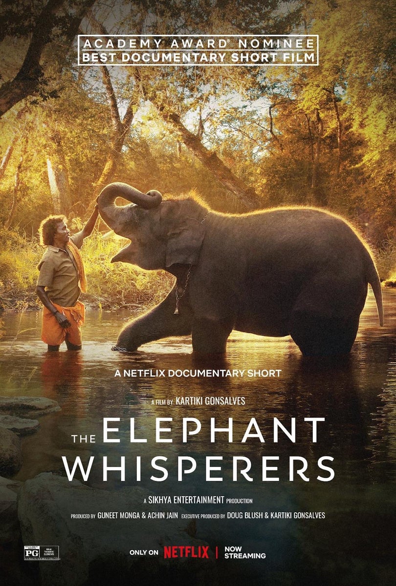 https://alphauniverseglobal.media.zestyio.com/Alpha-Universe-The-Elephant-Whisperers-Kartiki-Gonsalves-7.jpg?height=1200&fit=bounds
