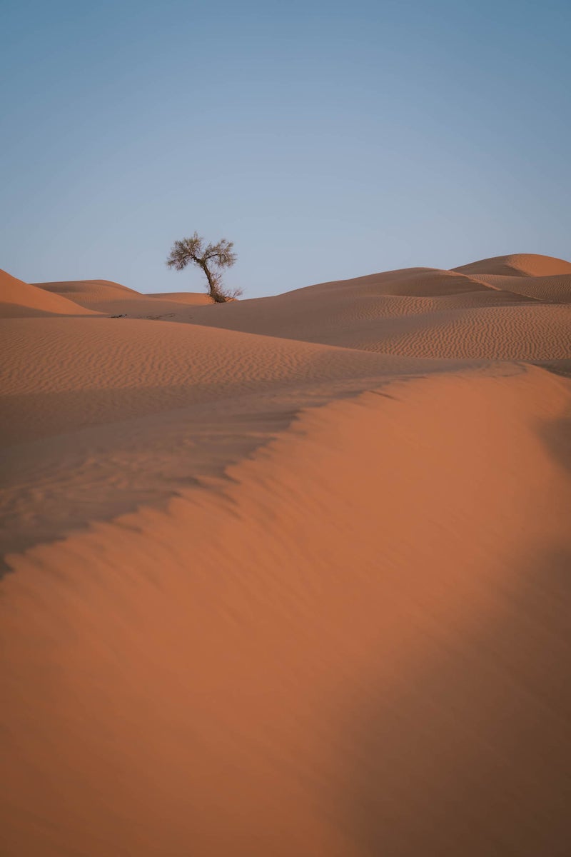 https://alphauniverseglobal.media.zestyio.com/Alpha-Universe-Tunisia-Max-Boncina-3.jpg?height=1200&fit=bounds