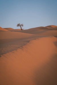 https://alphauniverseglobal.media.zestyio.com/Alpha-Universe-Tunisia-Max-Boncina-3.jpg?height=300&fit=bounds