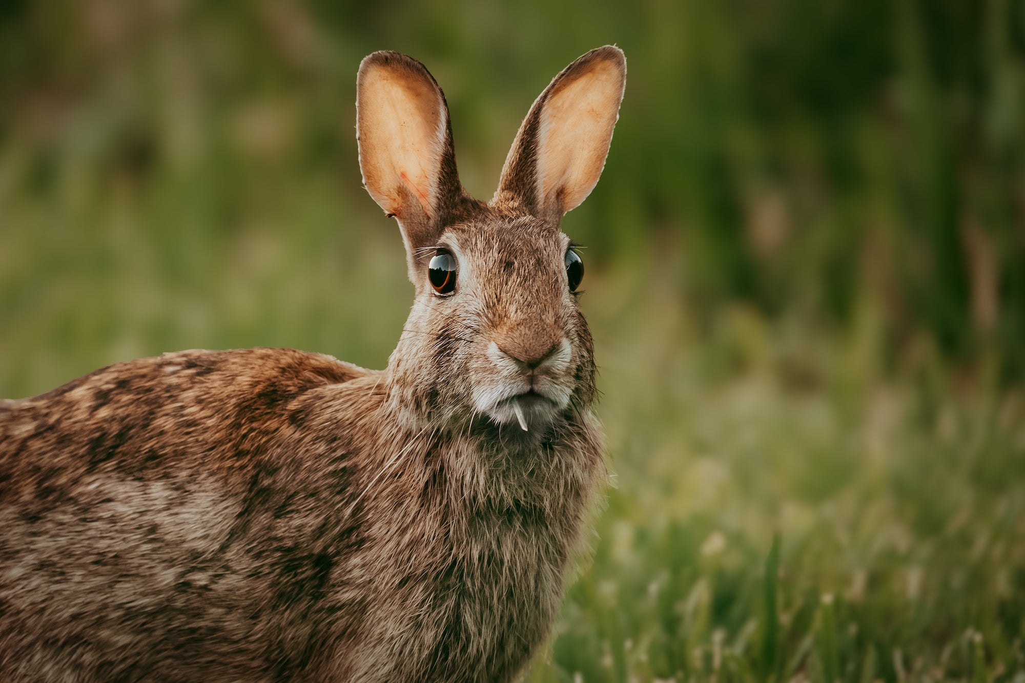 Photo by Tyler Devane Photo by Tyler Devane