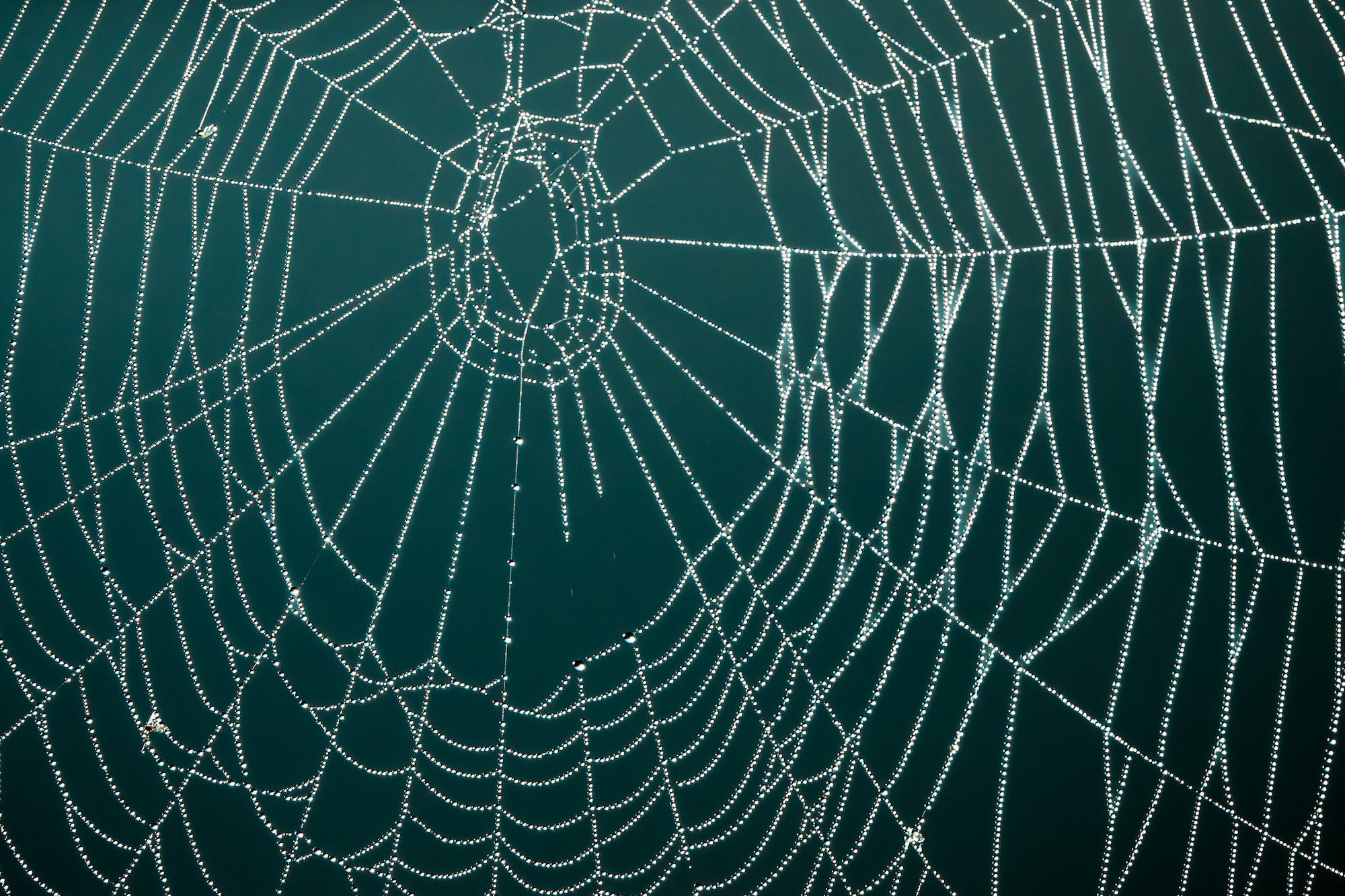 Photo by Tyler Devane Photo by Tyler Devane