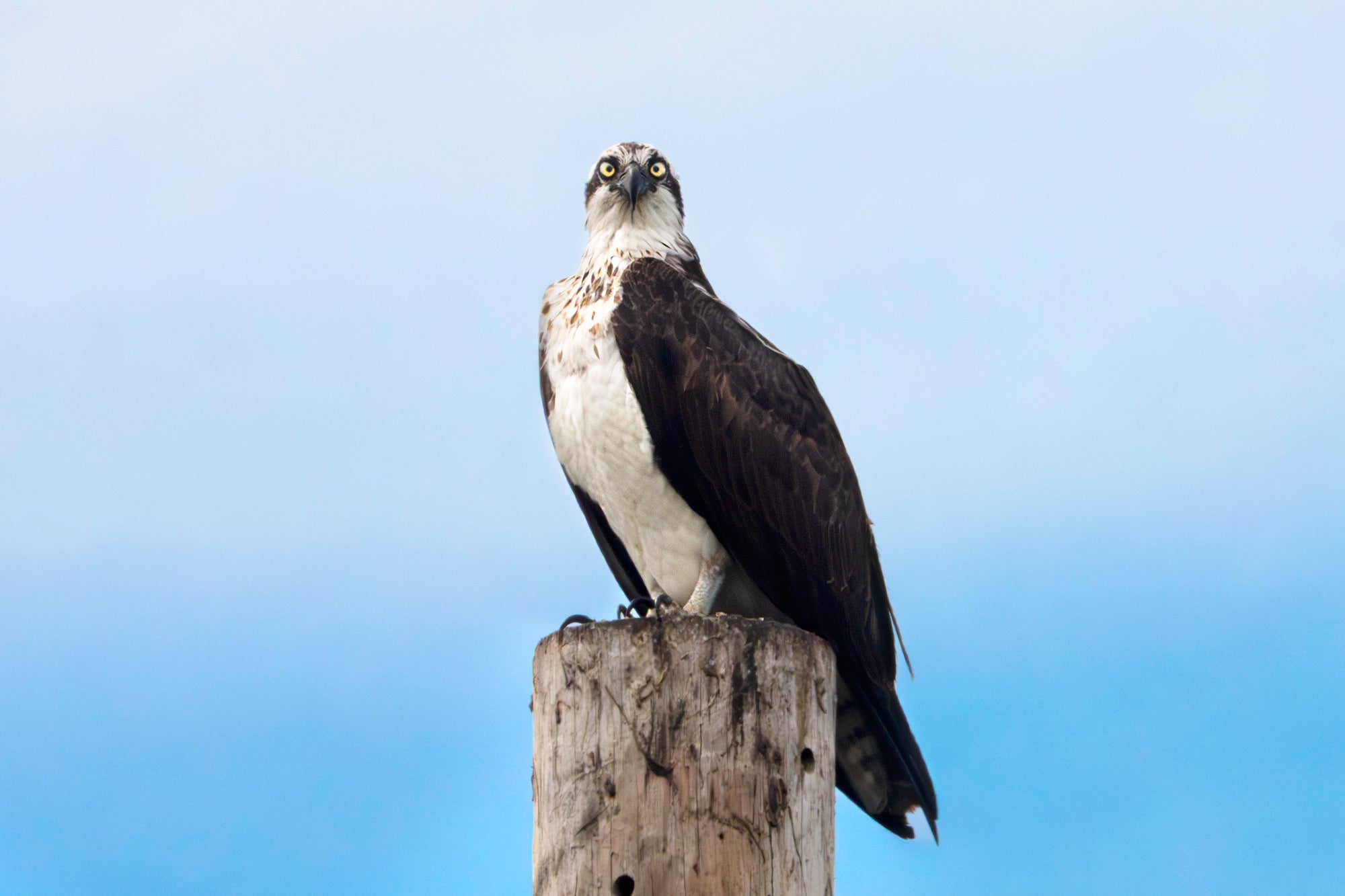 Photo by Tyler Devane Photo by Tyler Devane