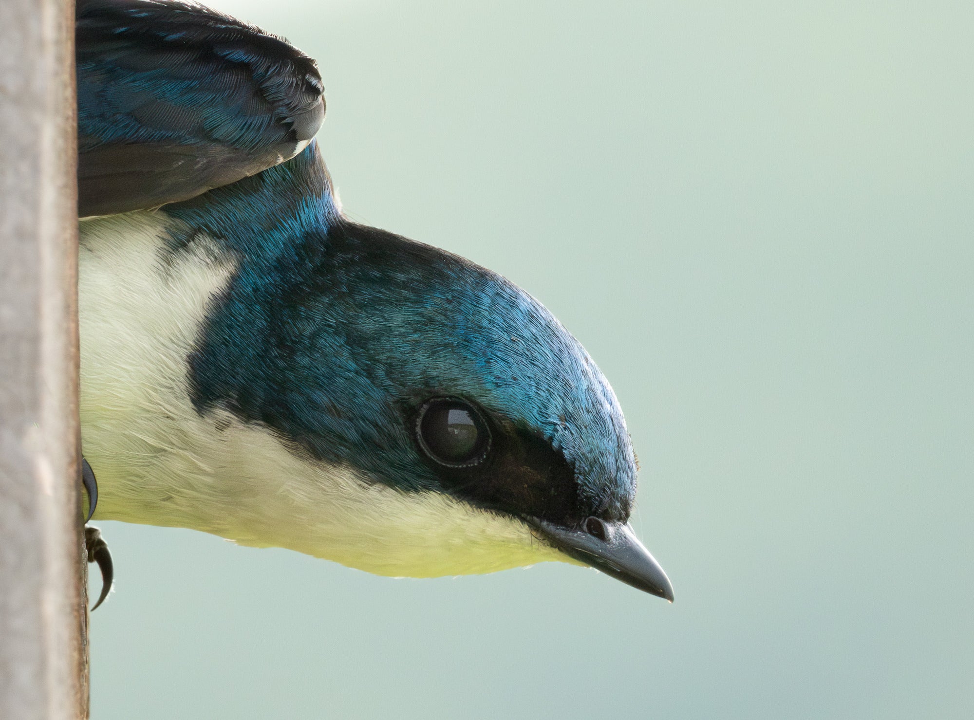 Photo by Tyler Devane Photo by Tyler Devane