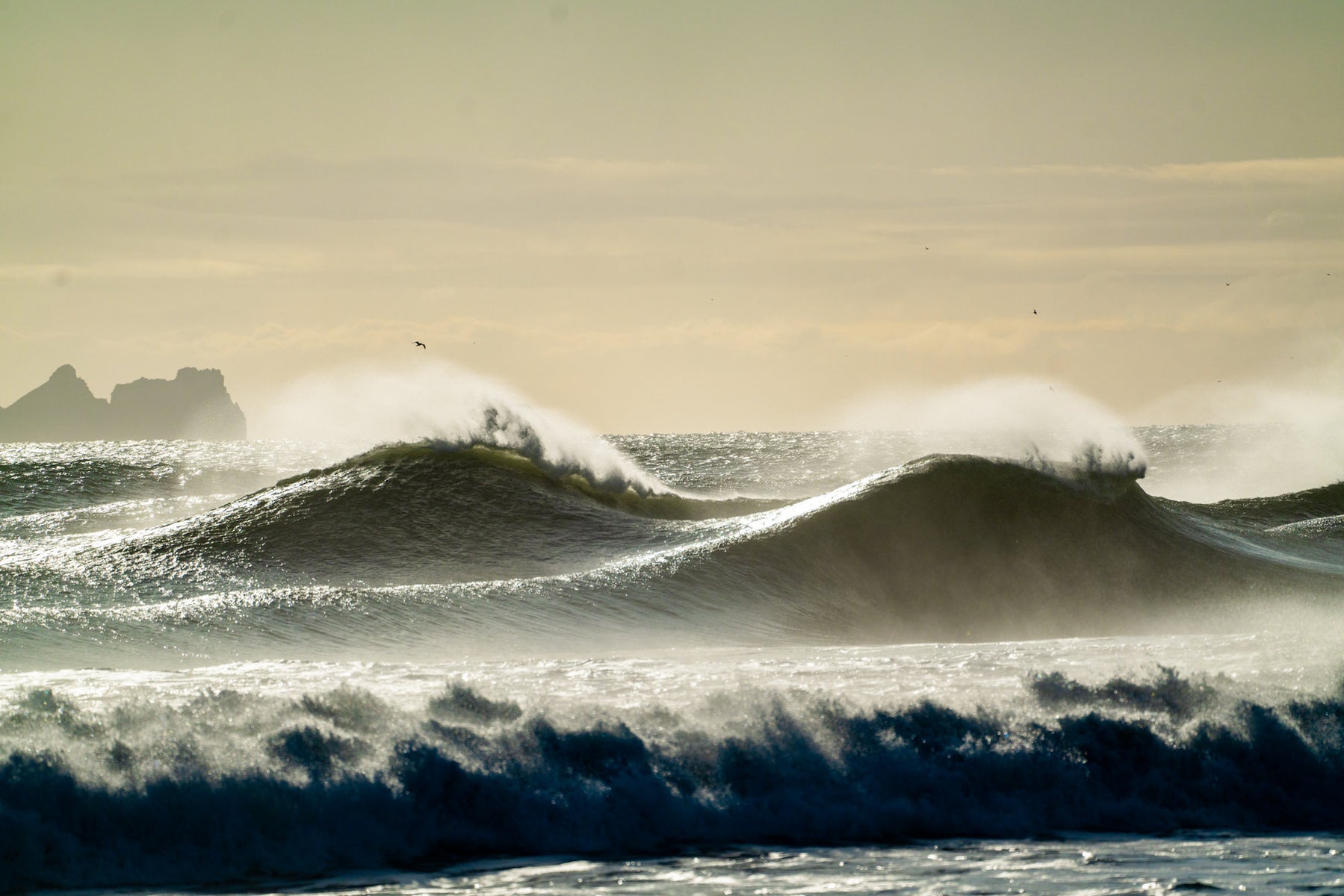 https://alphauniverseglobal.media.zestyio.com/Alpha-Universe-WIMB-2024-Chris-Burkard-5.JPG?height=1200&fit=bounds
