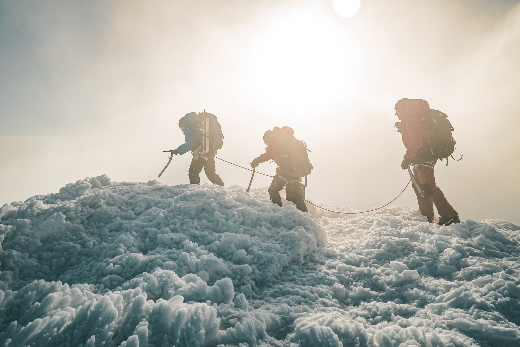 Photo by Renan Ozturk. Sony Alpha 7S III. Sony 24-70mm f/2.8 G Master II. 1/1250-sec., f/10, ISO 1000