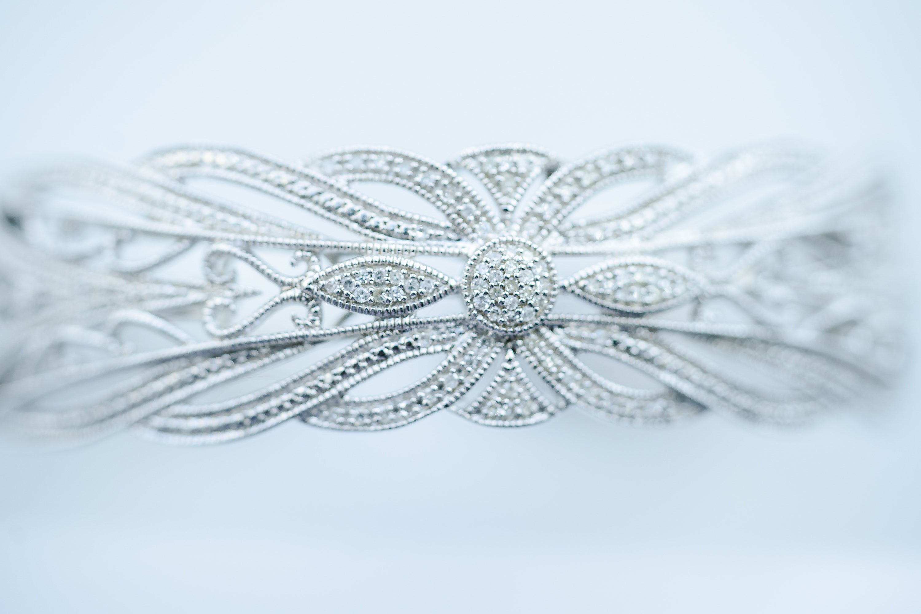 Photo by Kesha Lambert. Sony Alpha 9 II. Sony 90mm f/2.8 Macro G. 1/400-sec., f/2.8, ISO 200