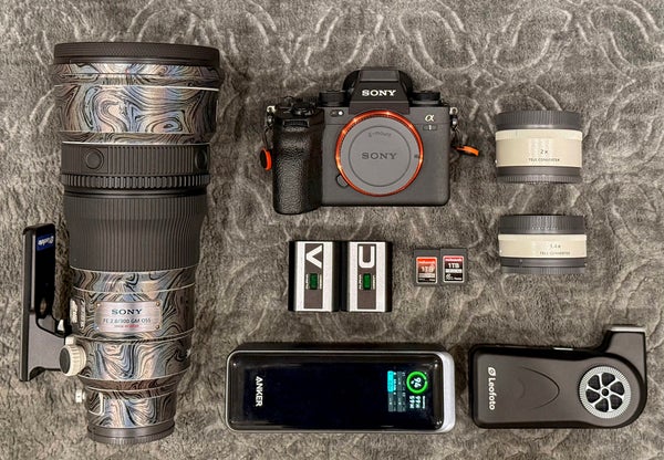 Alex Phan's kit. for fast-action bird photography