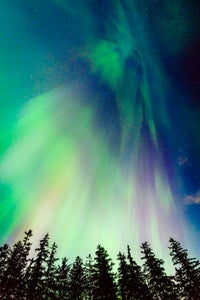 https://alphauniverseglobal.media.zestyio.com/Alpha-Universe-WIMB-AlexBriere-11.JPG?height=300&fit=bounds