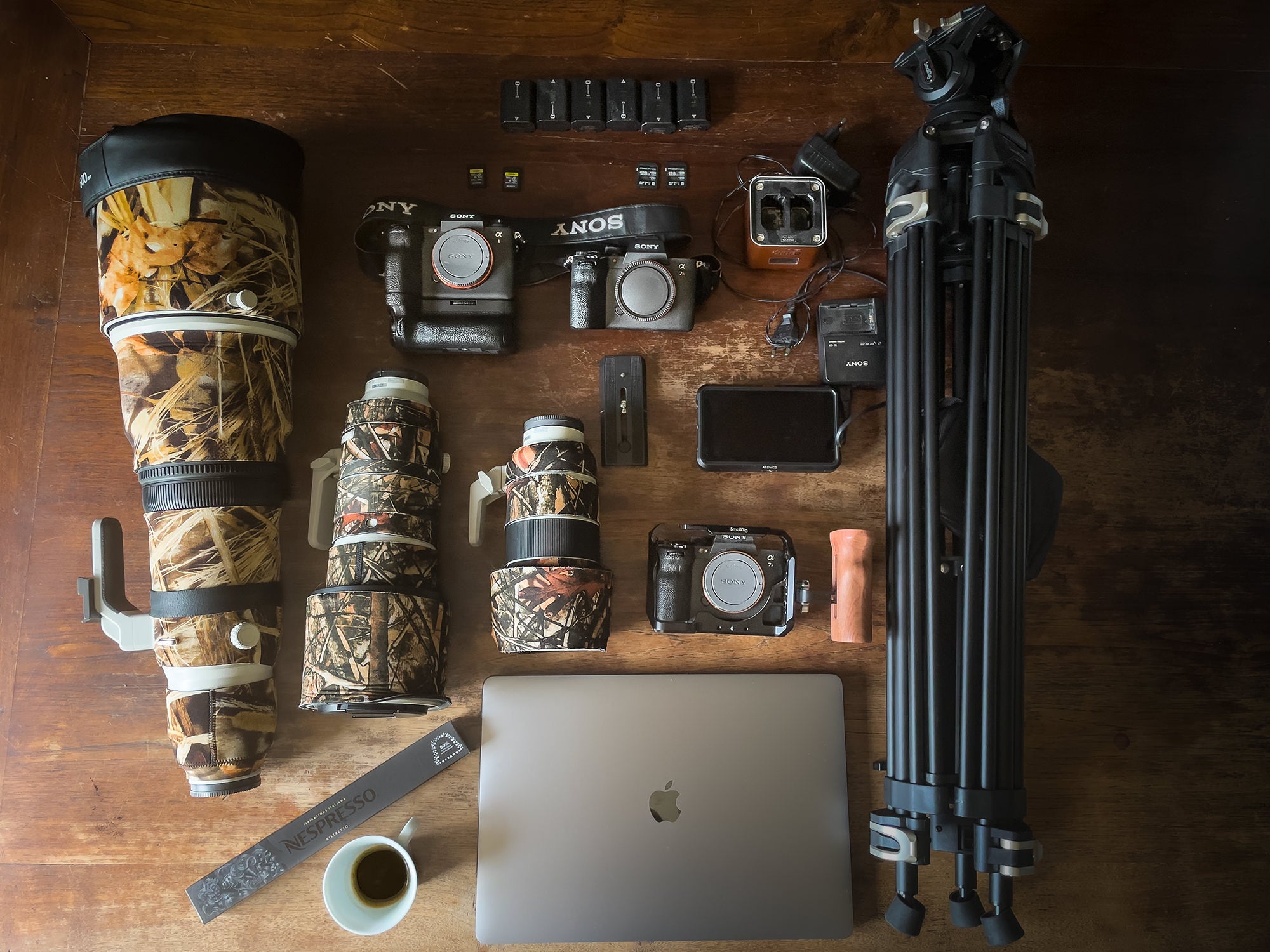 Wildlife photographer and videographer Alexandra Surkova's kit 