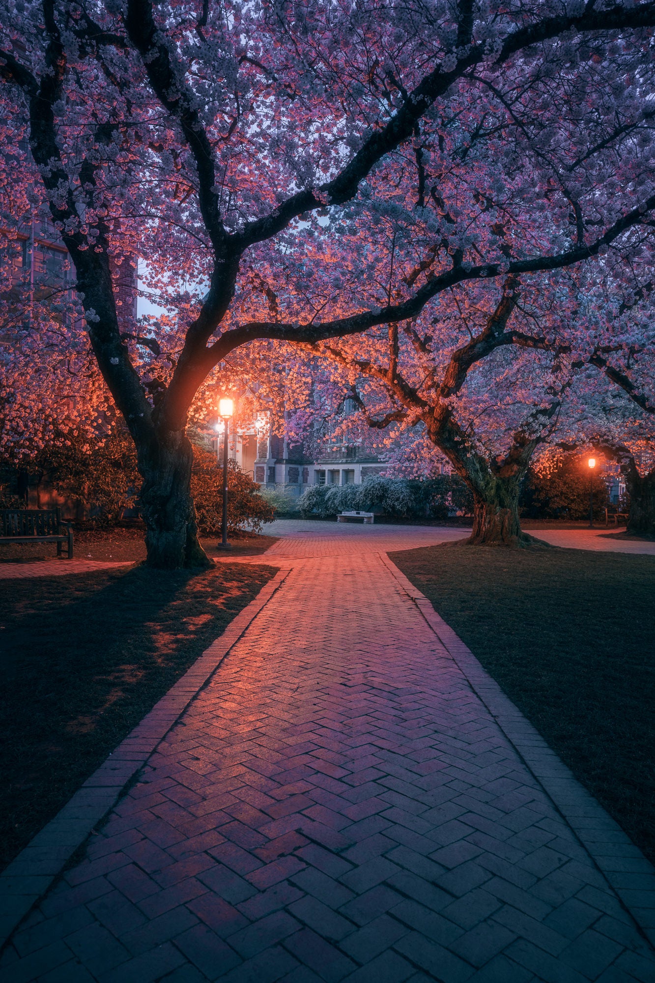 Photo by Amy Corcoran. Sony Alpha 7R V. Sony 16-35mm f/2.8 G Master. 2-sec., f/6.3, ISO 250