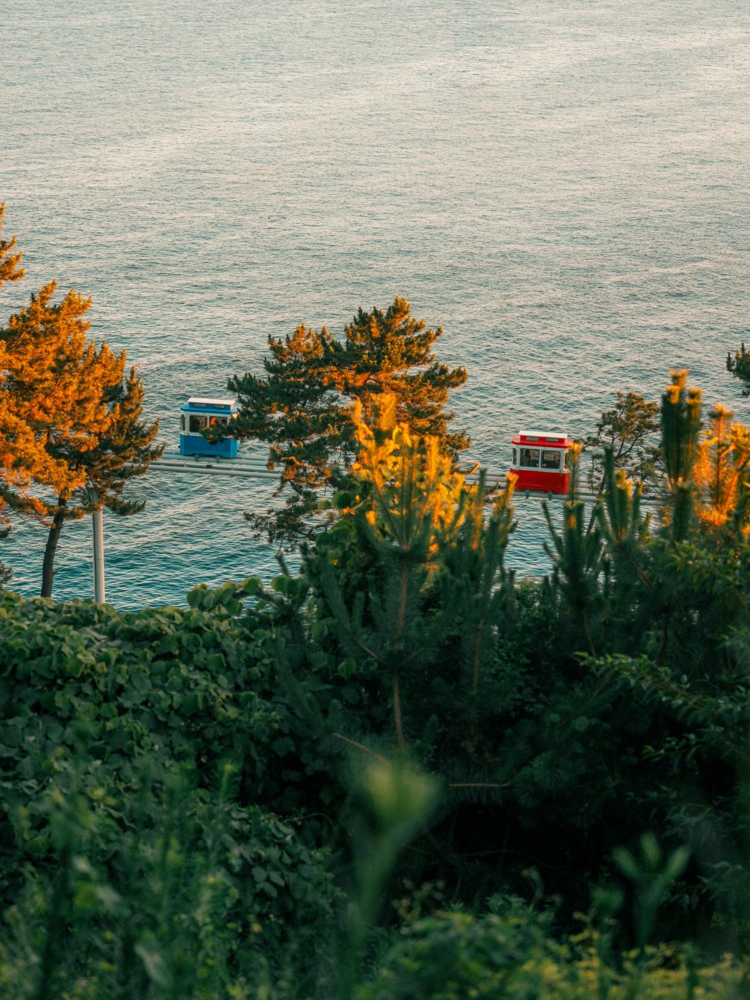 Photo by Andrei Kostromskikh. Alpha 1 II. 24-70mm f/2.8 G Master II. 1/250-sec., f/2.8, ISO 200