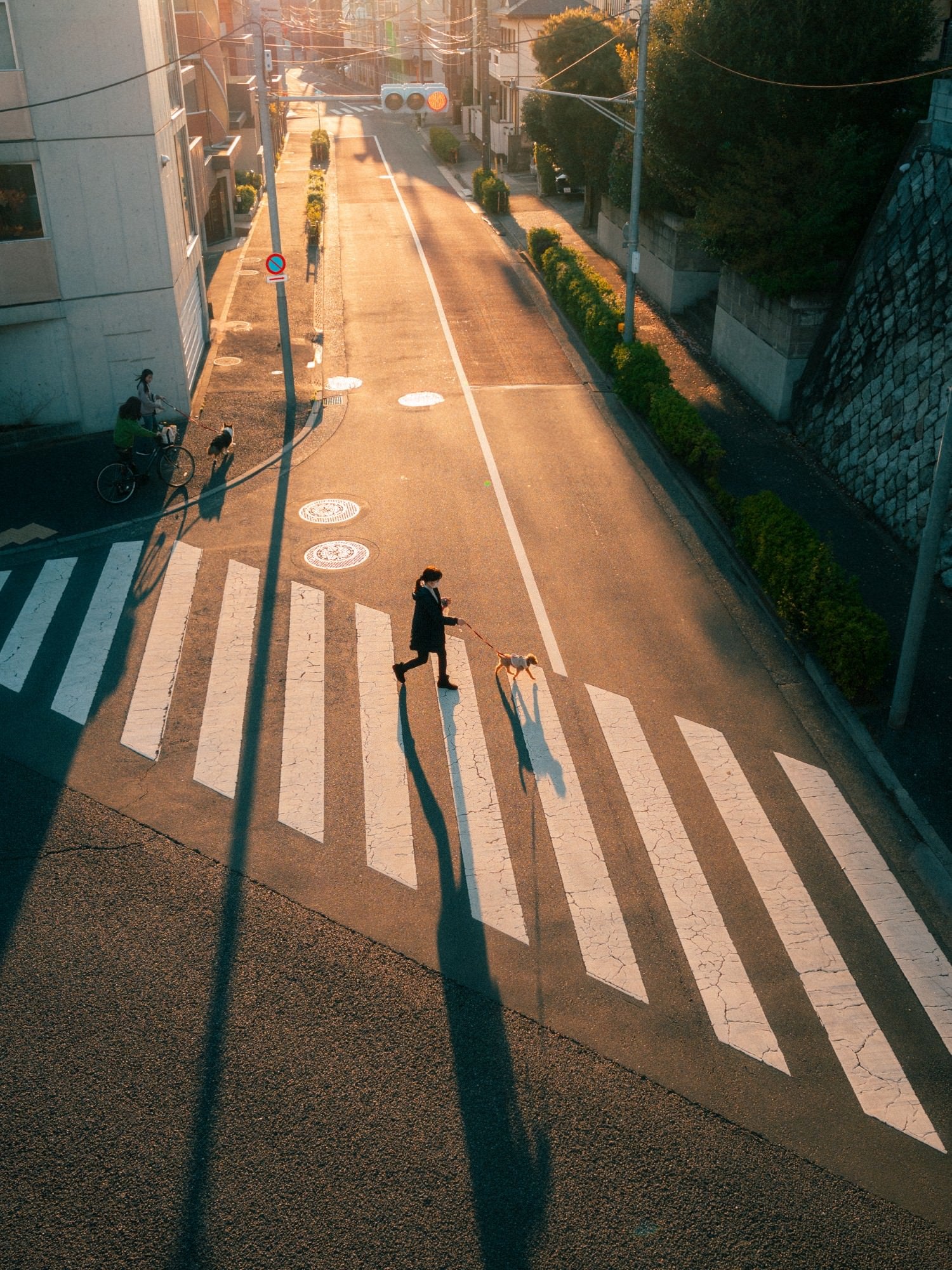 Photo by Andrei Kostromskikh. Alpha 7C II. 24mm f/1.4 G Master. 1/1000-sec., f/4, ISO 500