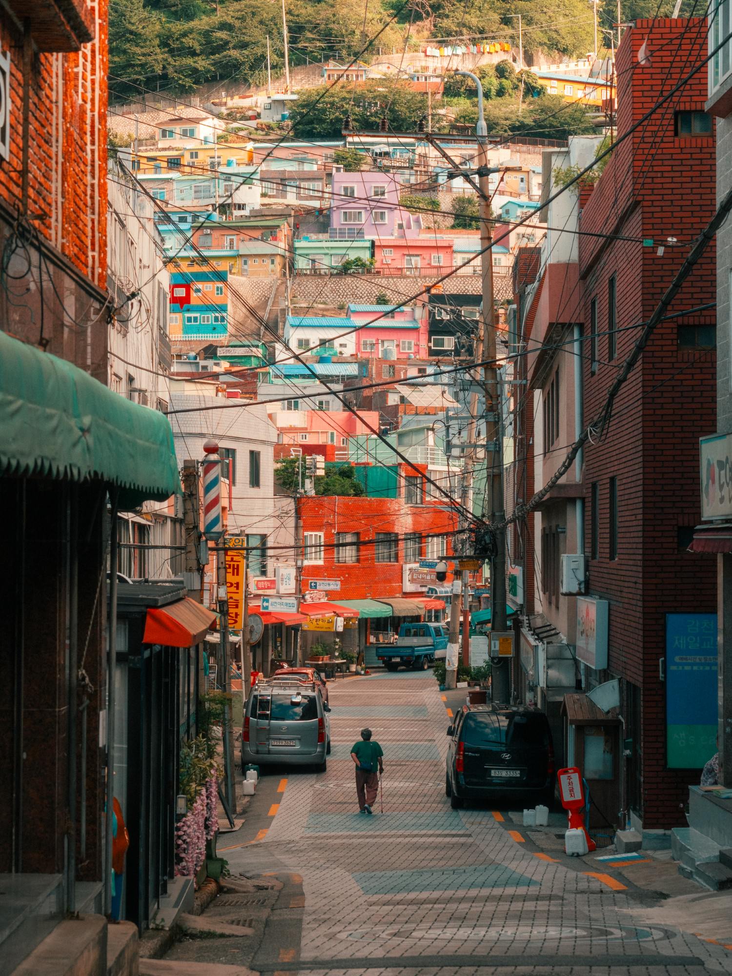 Photo by Andrei Kostromskikh. Alpha 1 II. 24-70mm f/2.8 G Master II. 1/250-sec., f/4.5, ISO 800