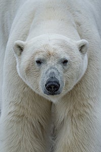 https://alphauniverseglobal.media.zestyio.com/Alpha-Universe-WIMB-Andy-Mann-2024-4.jpg?height=300&fit=bounds