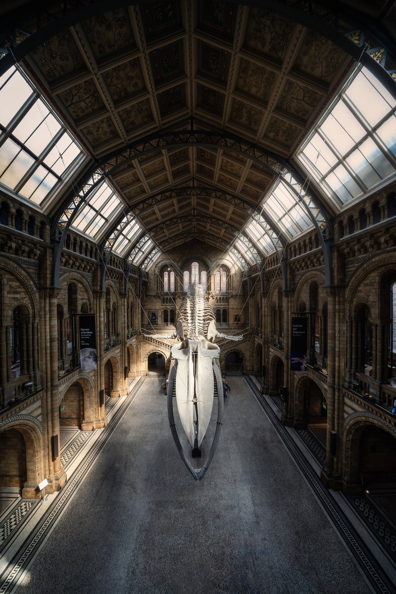 https://alphauniverseglobal.media.zestyio.com/Alpha-Universe-WIMB-Antoine-Buchet-12.jpg?height=1200&fit=bounds