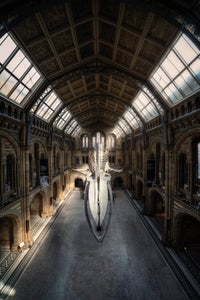https://alphauniverseglobal.media.zestyio.com/Alpha-Universe-WIMB-Antoine-Buchet-12.jpg?height=300&fit=bounds