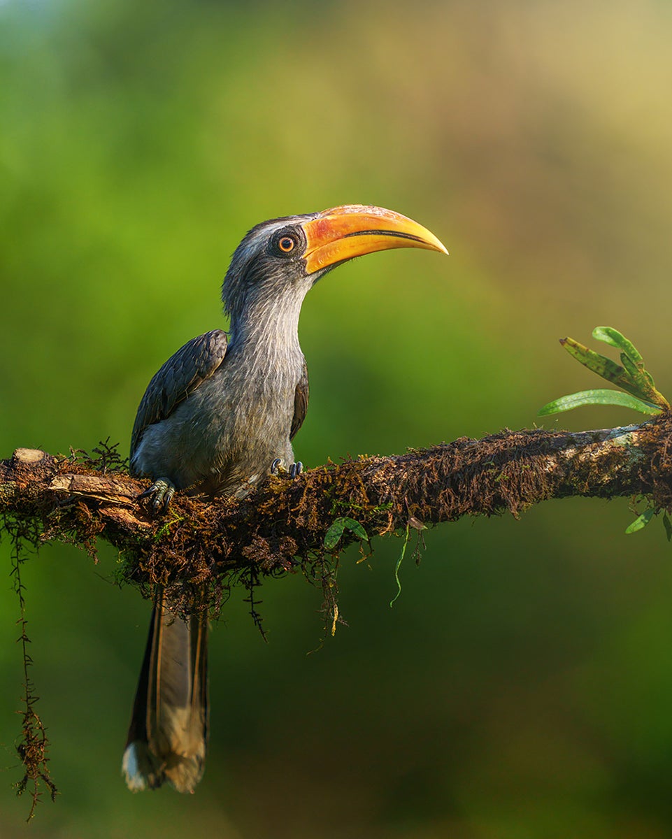 https://alphauniverseglobal.media.zestyio.com/Alpha-Universe-WIMB-Anupam-Thombre-a1-400mm-10.jpg?height=1200&fit=bounds