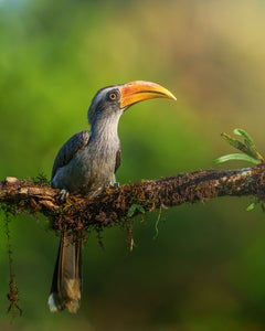 https://alphauniverseglobal.media.zestyio.com/Alpha-Universe-WIMB-Anupam-Thombre-a1-400mm-10.jpg?height=300&fit=bounds