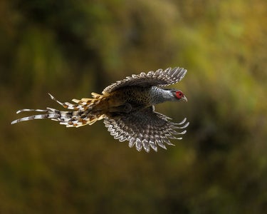 https://alphauniverseglobal.media.zestyio.com/Alpha-Universe-WIMB-Anupam-Thombre-a1-400mm-4.jpg?height=300&fit=bounds