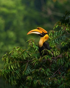 https://alphauniverseglobal.media.zestyio.com/Alpha-Universe-WIMB-Anupam-Thombre-a1-400mm-6.jpg?height=300&fit=bounds