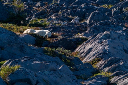 What&rsquo;s In My Bag: How This Wildlife Photographer Pushes Maximum 