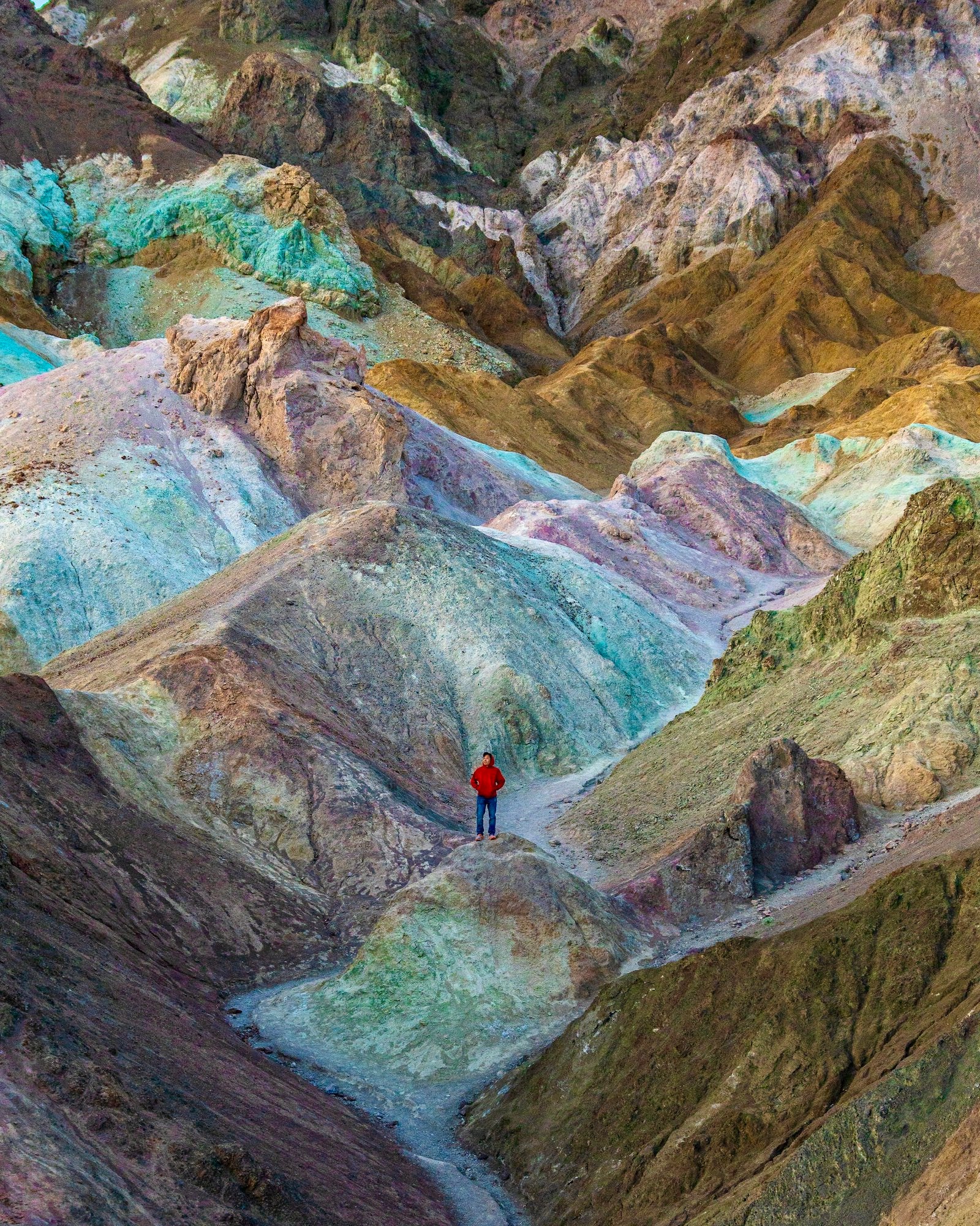 Photo by Aronne Chan. Alpha 7R V. 16-35mm f/2.8 G Master. 1/125-sec., f/4, ISO 160