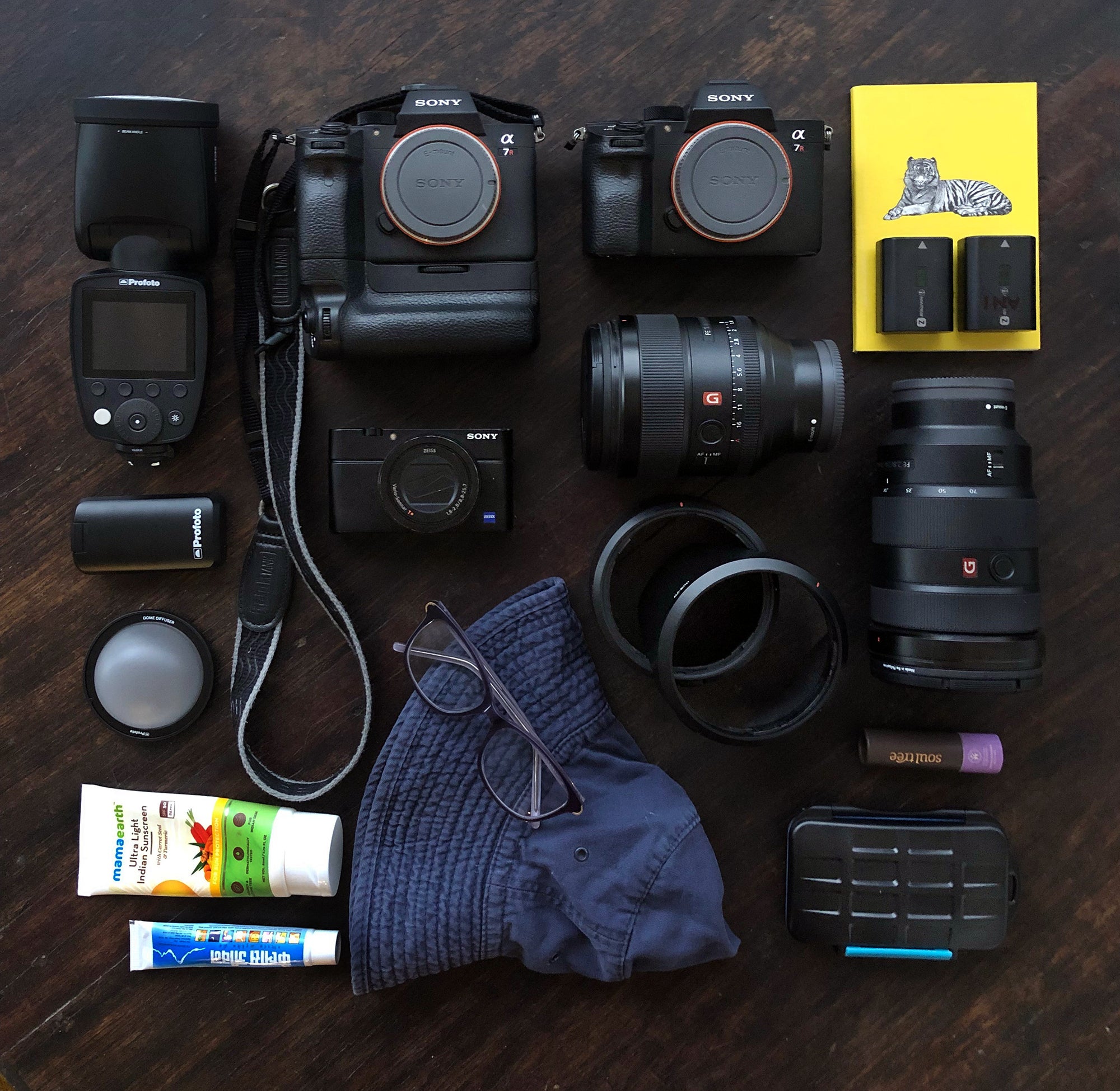 Photojournalist camera sales bag