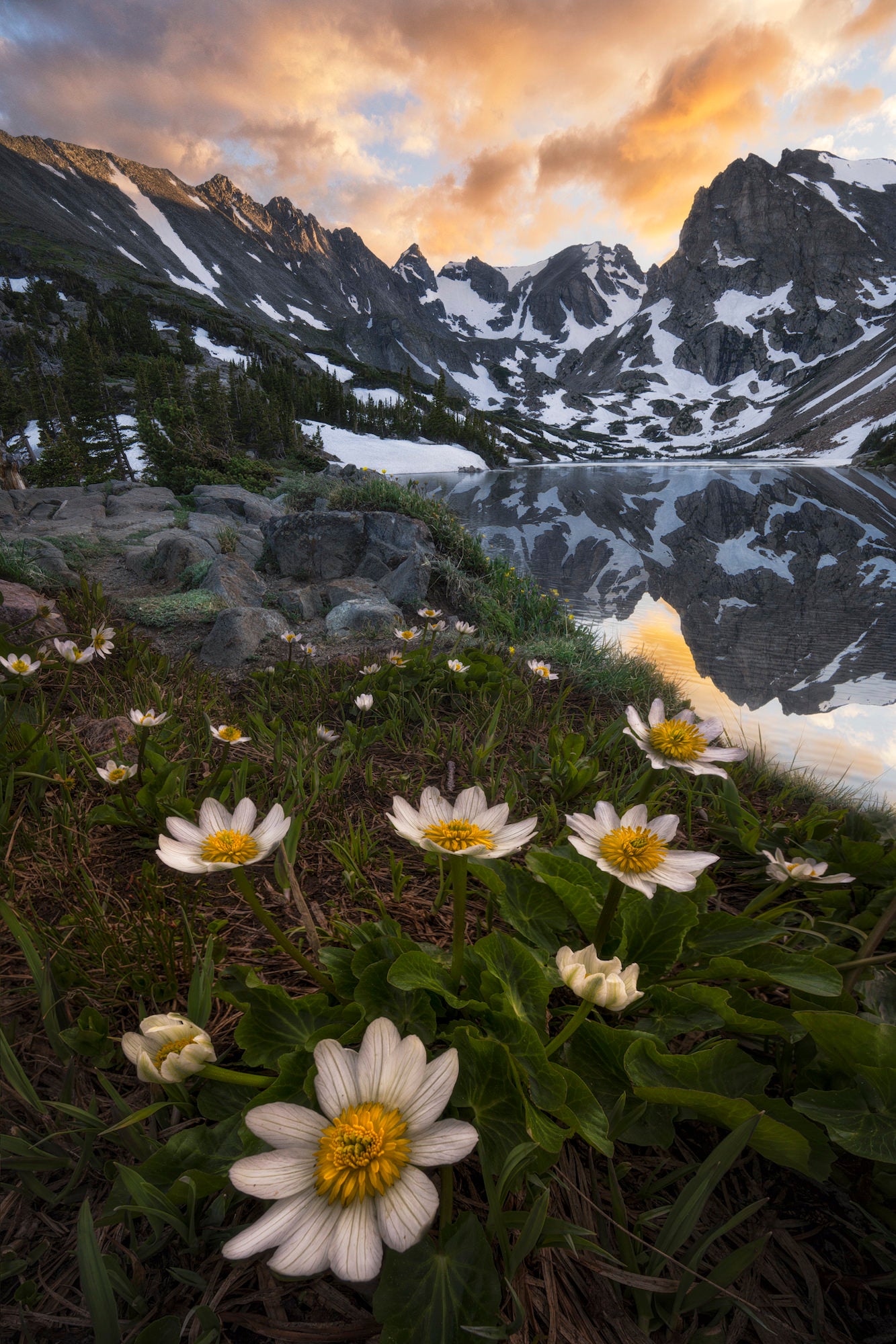 Photo by Brandt Ryder. Sony Alpha 7 IV. Sony 14mm f/1.4 G Master. 6-Focus Stacked. 1/13-sec., f/13, ISO 