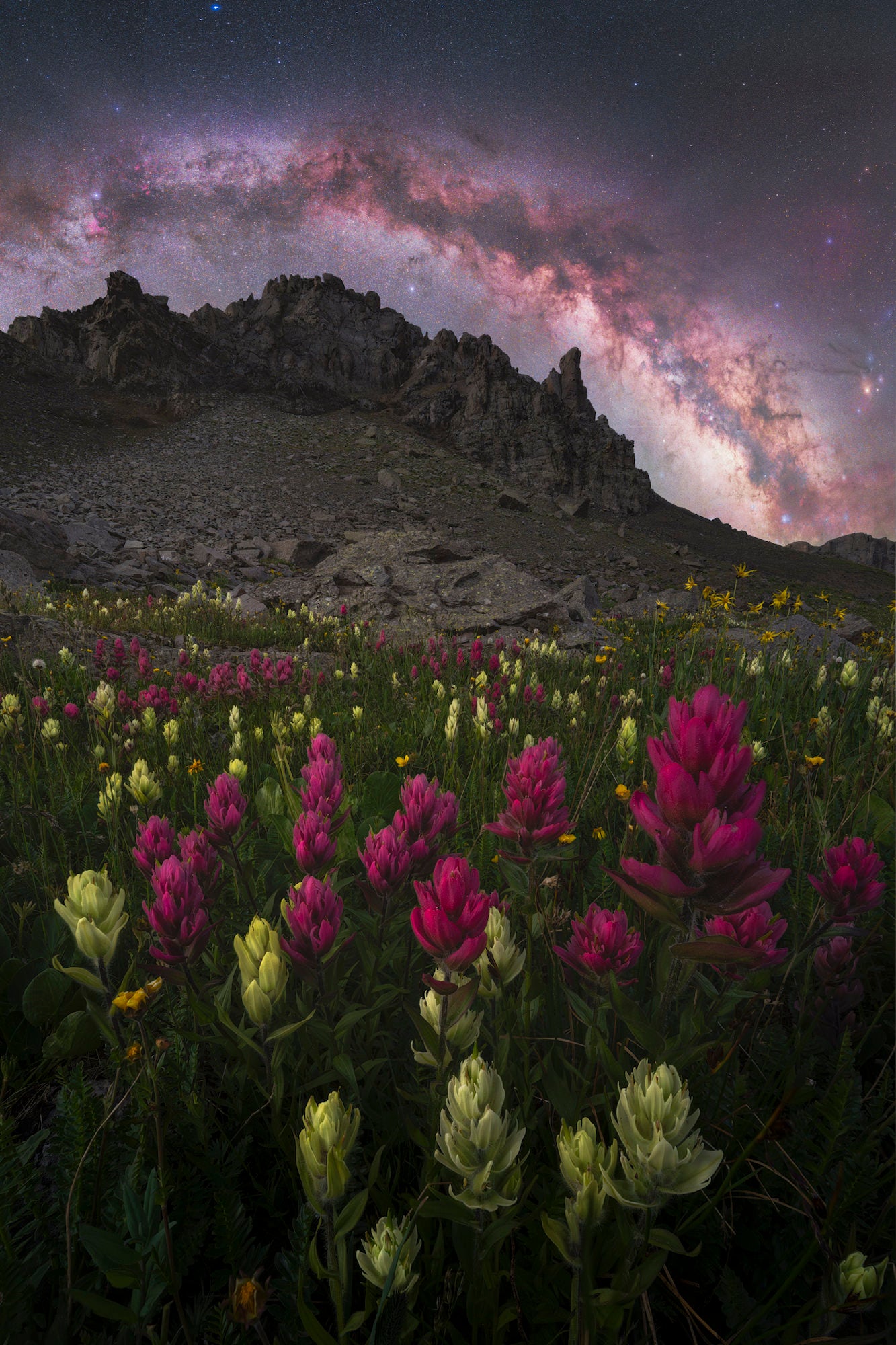 Photo by Brandt Ryder. Sony Alpha 7 IV Astromodified Visible + H-Alpha. Sony 14mm f/1.8 G Master. Ground, 6-Focus Stacked: 1/40-sec., f/11, ISO 3200. Sky, 5-panorama scaled to foreground: 120-sec., f/2, ISO 400