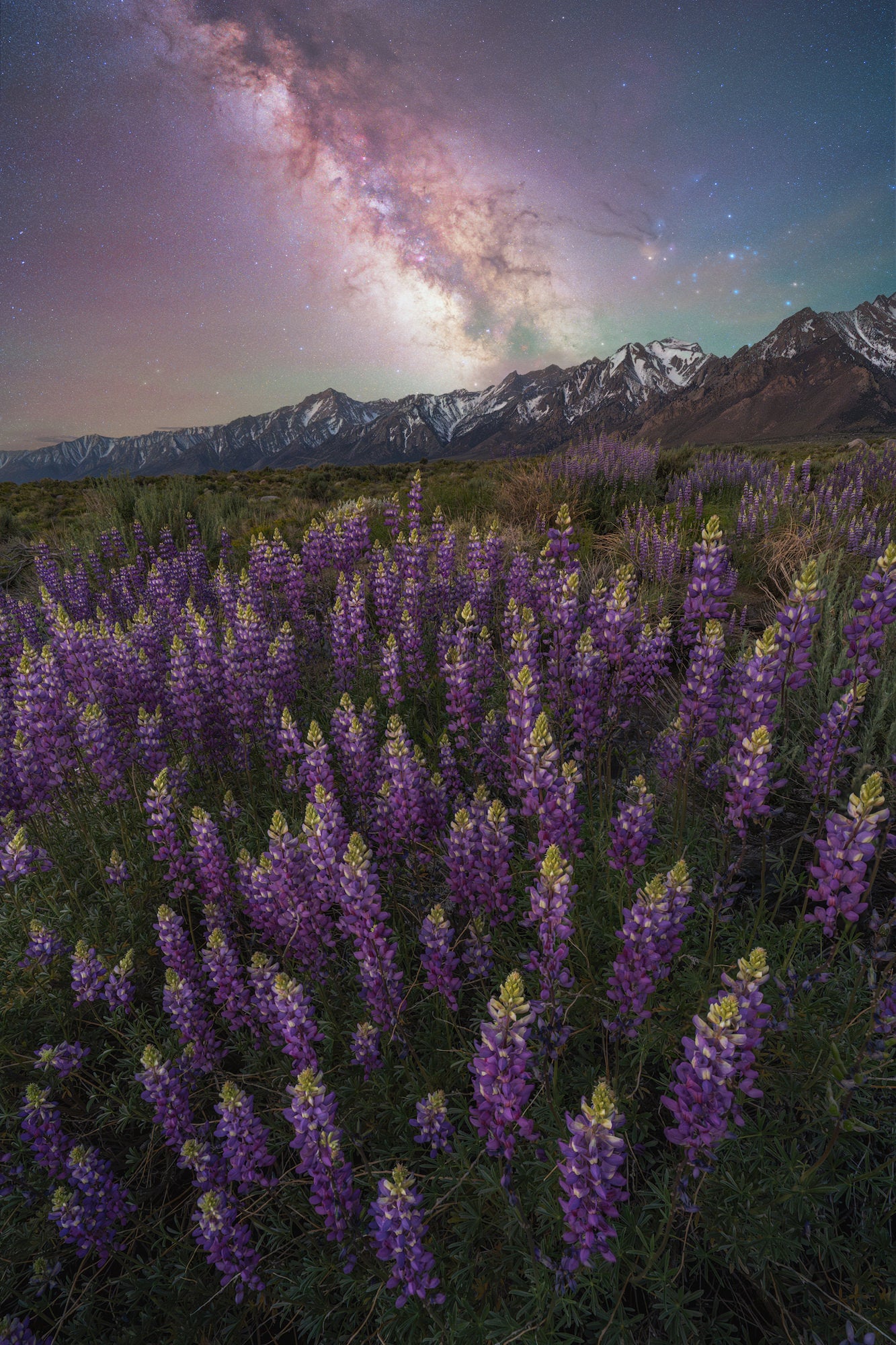 Photo by Brandt Ryder. Sony Alpha 7 IV, Sony Alpha 7 IV Astromodified Visible + H-Alpha. Sony 24mm f/1.4 G Master. Ground, 5-Focus Stacked. 1/160-sec., f/8, ISO 320. Sky, 3-Focus Stacked. 120-sec., f/2, ISO 800