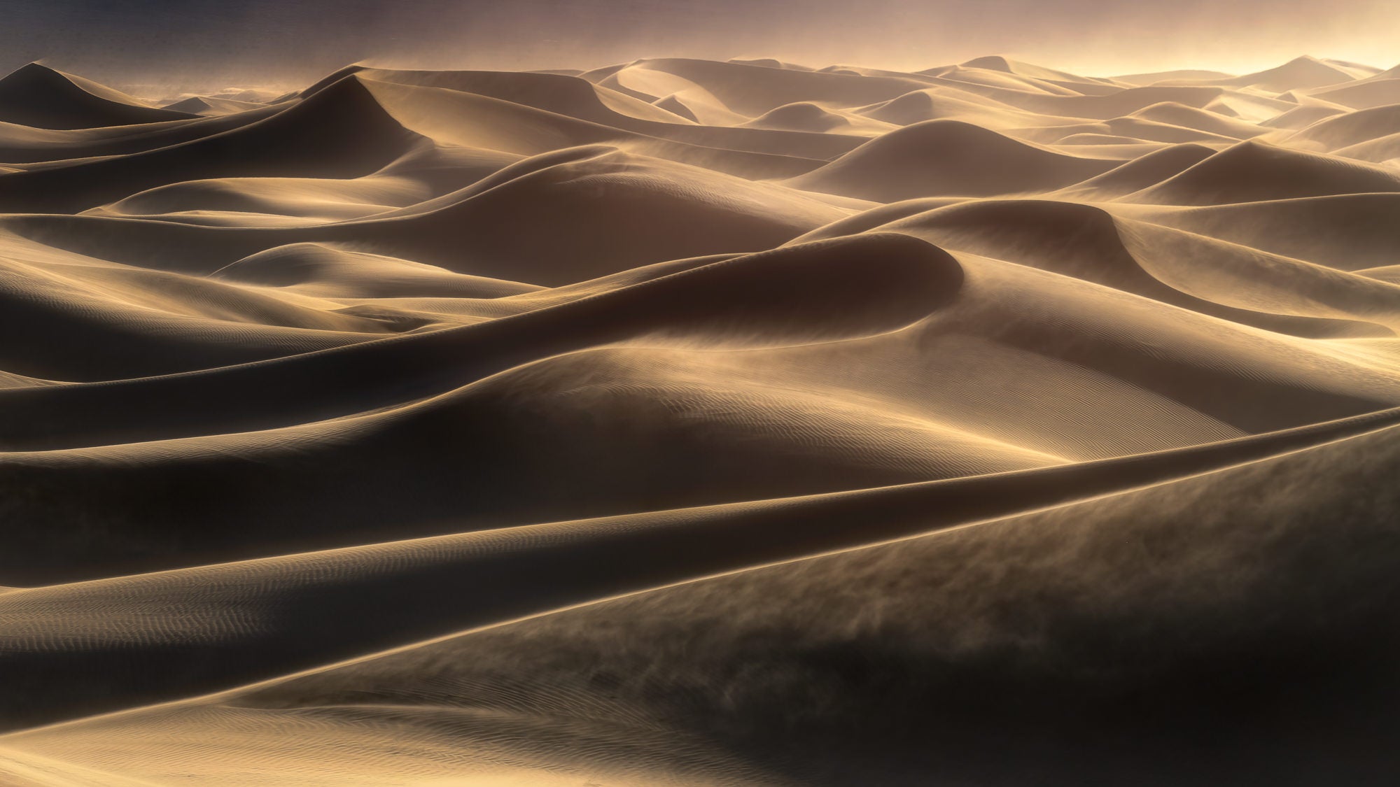 https://alphauniverseglobal.media.zestyio.com/Alpha-Universe-WIMB-Craig-Elson-Death-Valley-Dunes-Sandstorm.jpg?height=1200&fit=bounds