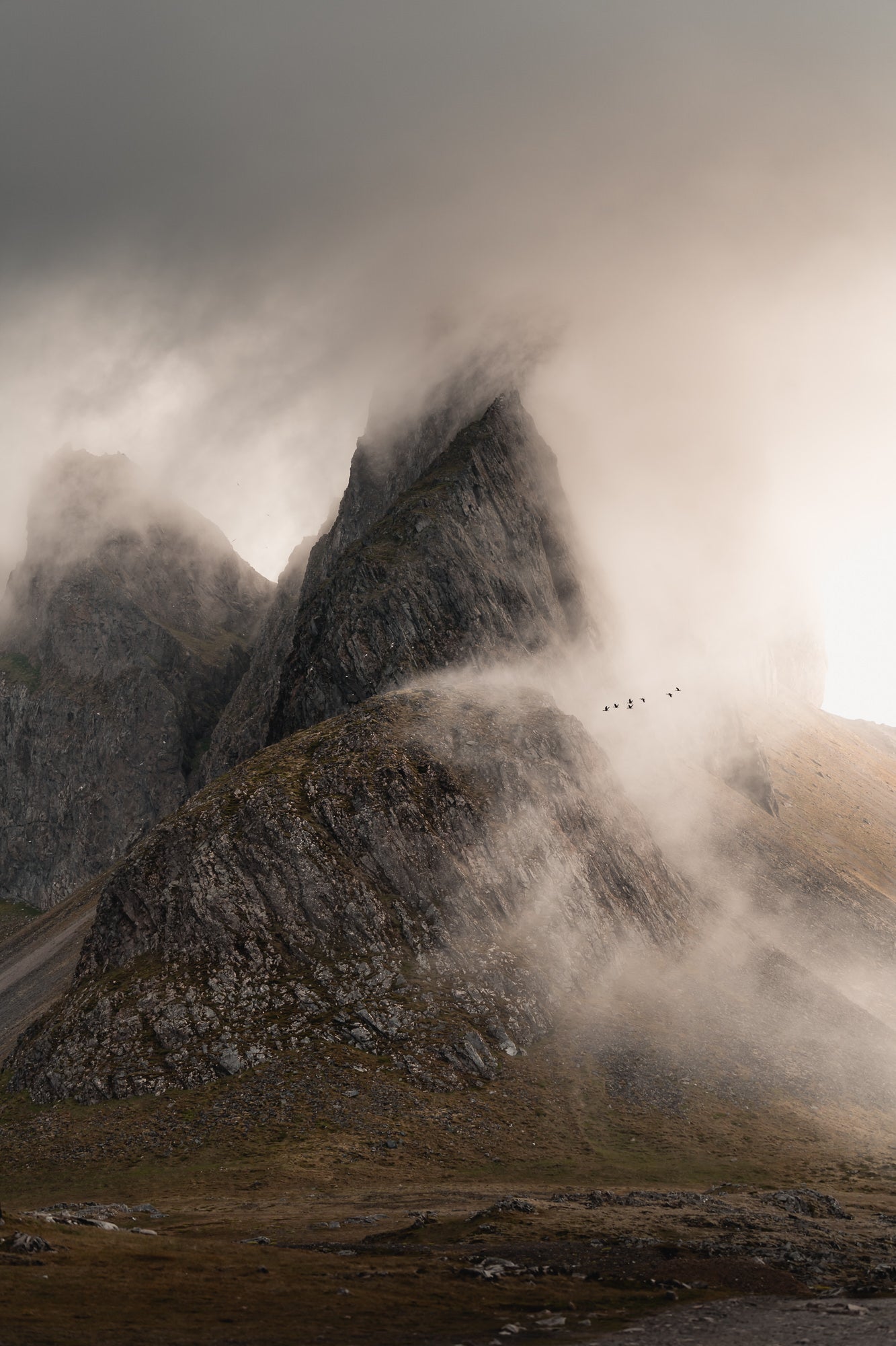 “Eystrahorn Geese, a rare moment with a flock of geese flying past an Icelandic mountain range.” Photo by Daryl Scott Walker. Sony Alpha 7 III. Sony 70-200mm f/4 G. 1/500-sec, f/4, ISO 1000