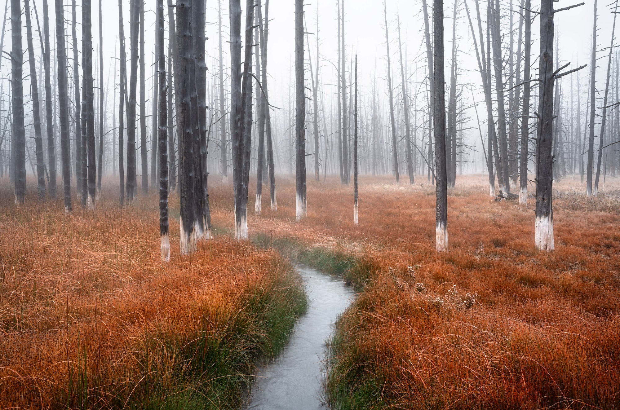 Photo by David Dinette. Sony Alpha 7R III. Sony 16-35mm f/2.8 G Master. 1/4-sec., f/16, ISO 100