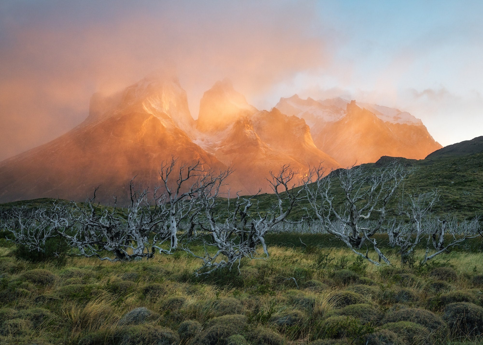 Photo by David Dinette. Sony Alpha 7R II. Sony 16-35mm f/2.8 G Master. 1/400-sec., f/5.6, ISO 640