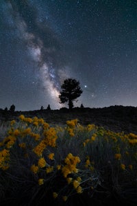 https://alphauniverseglobal.media.zestyio.com/Alpha-Universe-WIMB-David-Erichsen-9.jpeg?height=300&fit=bounds