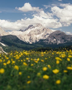 https://alphauniverseglobal.media.zestyio.com/Alpha-Universe-WIMB-Erin-Outdoors-Sullivan-11.jpg?height=300&fit=bounds