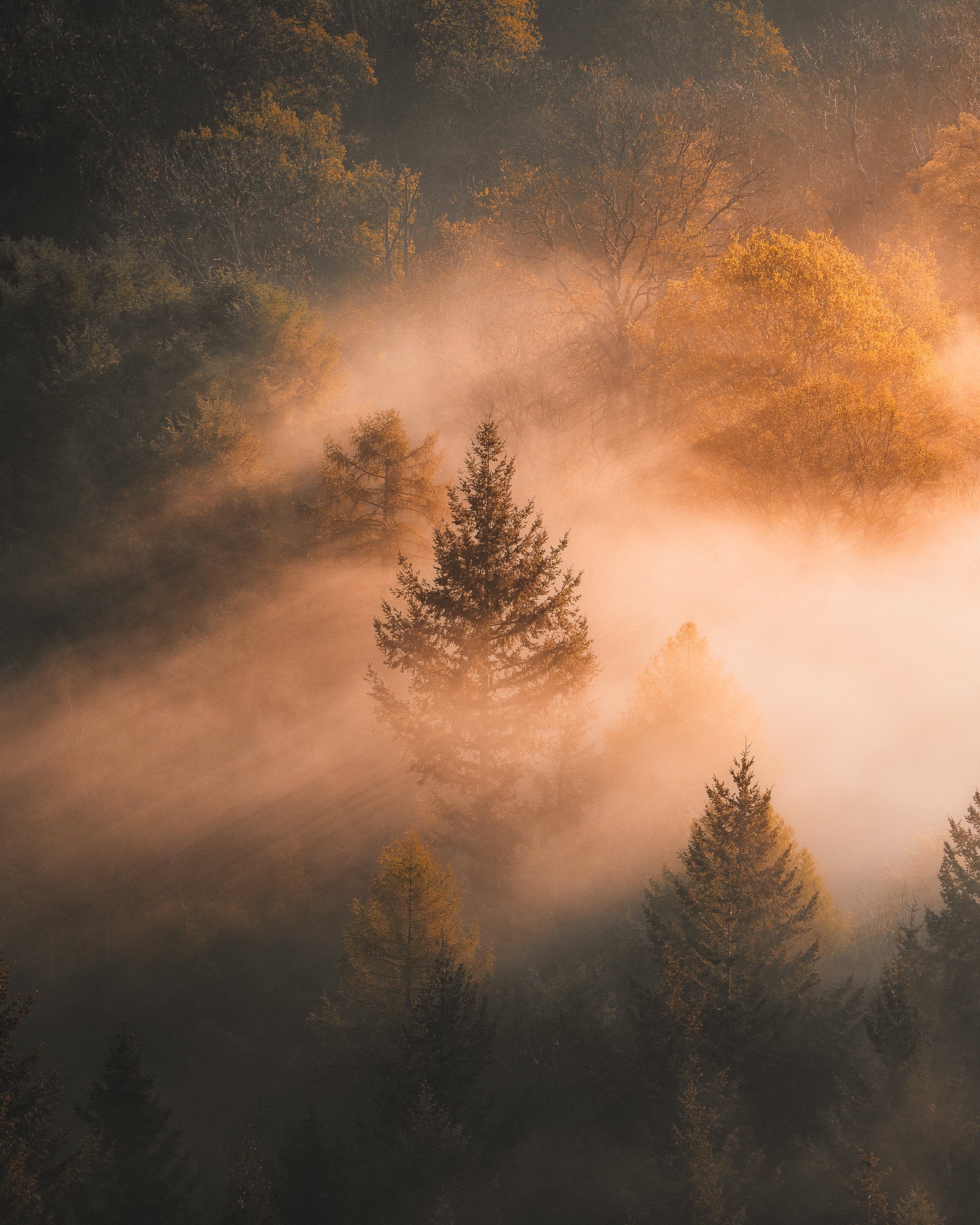 Photo by Gareth Llewellyn. Sony Alpha 7R III. Sony 70-200mm f/2.8 G Master. 1/2000-sec., f/2.8, ISO 100