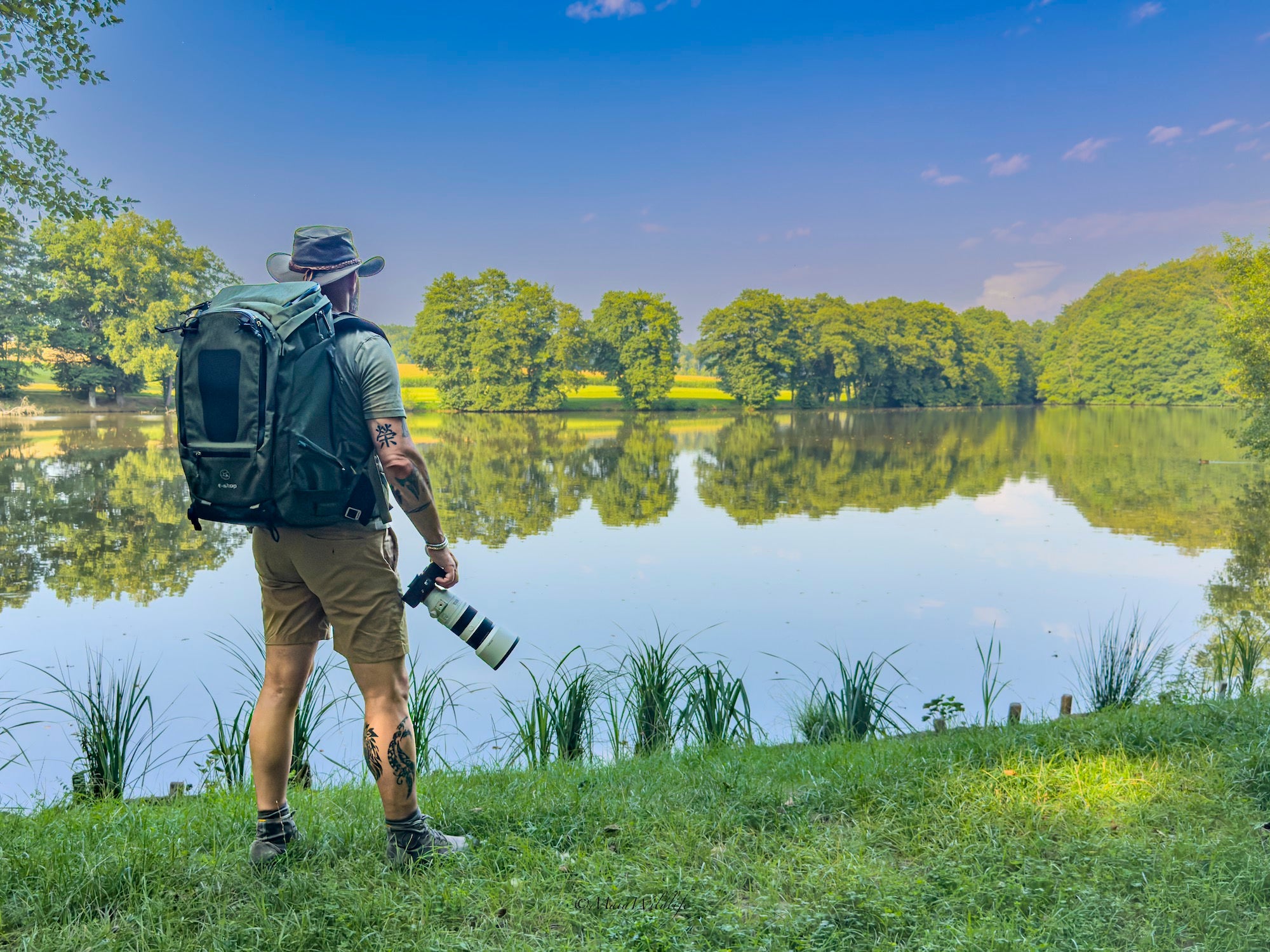 Wildlife photography by Henrique Maia