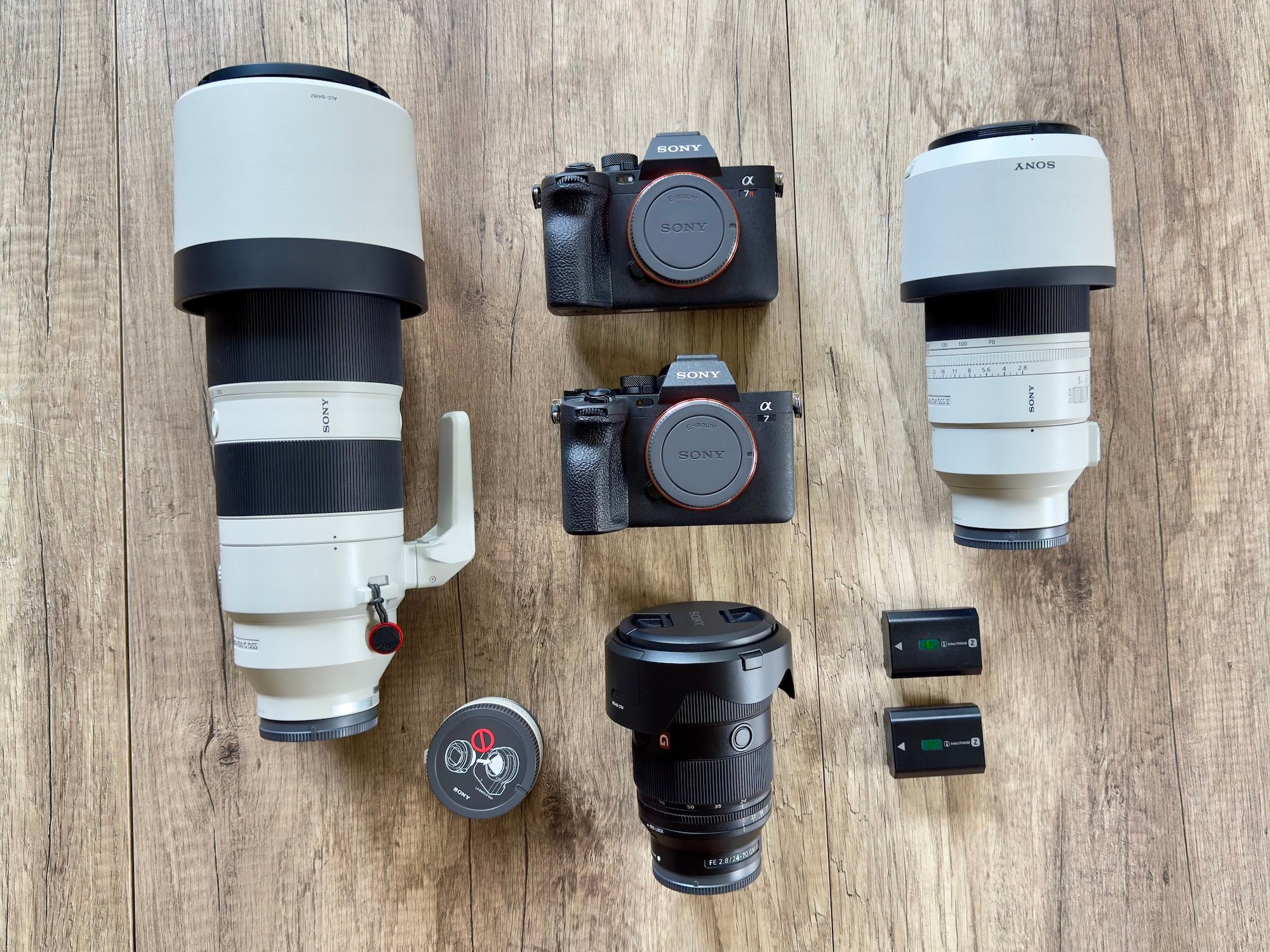 Wildlife photography by Henrique Maia