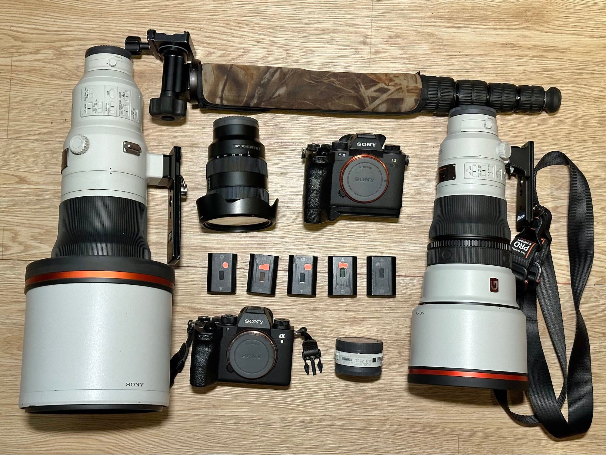 James Sengul's kit for bird photography