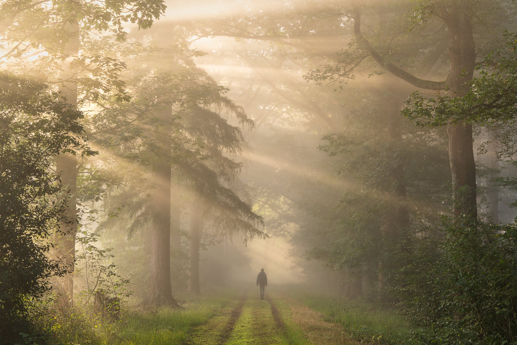 Photo by Jeroen Schouten. Sony Alpha 7R III. Sony 70-200mm f/4 G. 1/10-sec., f/16, ISO 400