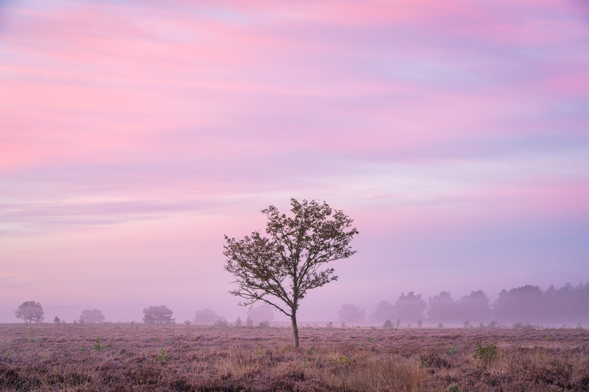 Photo by Jeroen Schouten. Sony Alpha 7R III. Sony 24-105mm f/4 G. 1/6-sec., f/8, ISO 100