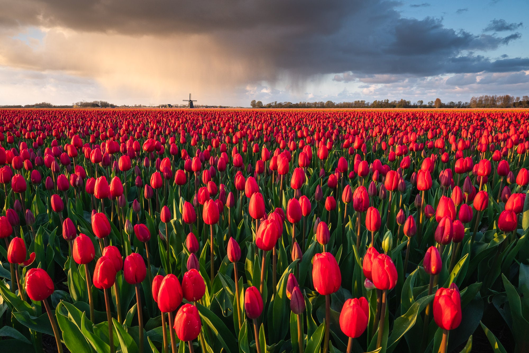 Photo by Jeroen Schouten. Sony Alpha 7R III. Sony 16-35mm f/2.8 G Master. 1/50 sec, f/8, ISO 200 (sky), 1/100 sec, f/16, ISO 1600 (foreground) focus stack of two.
