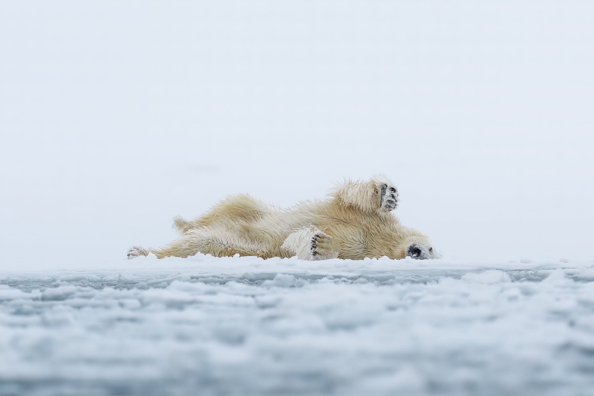 What's In My Bag: A Telephoto Zoom & An Ultra-Wide Prime For