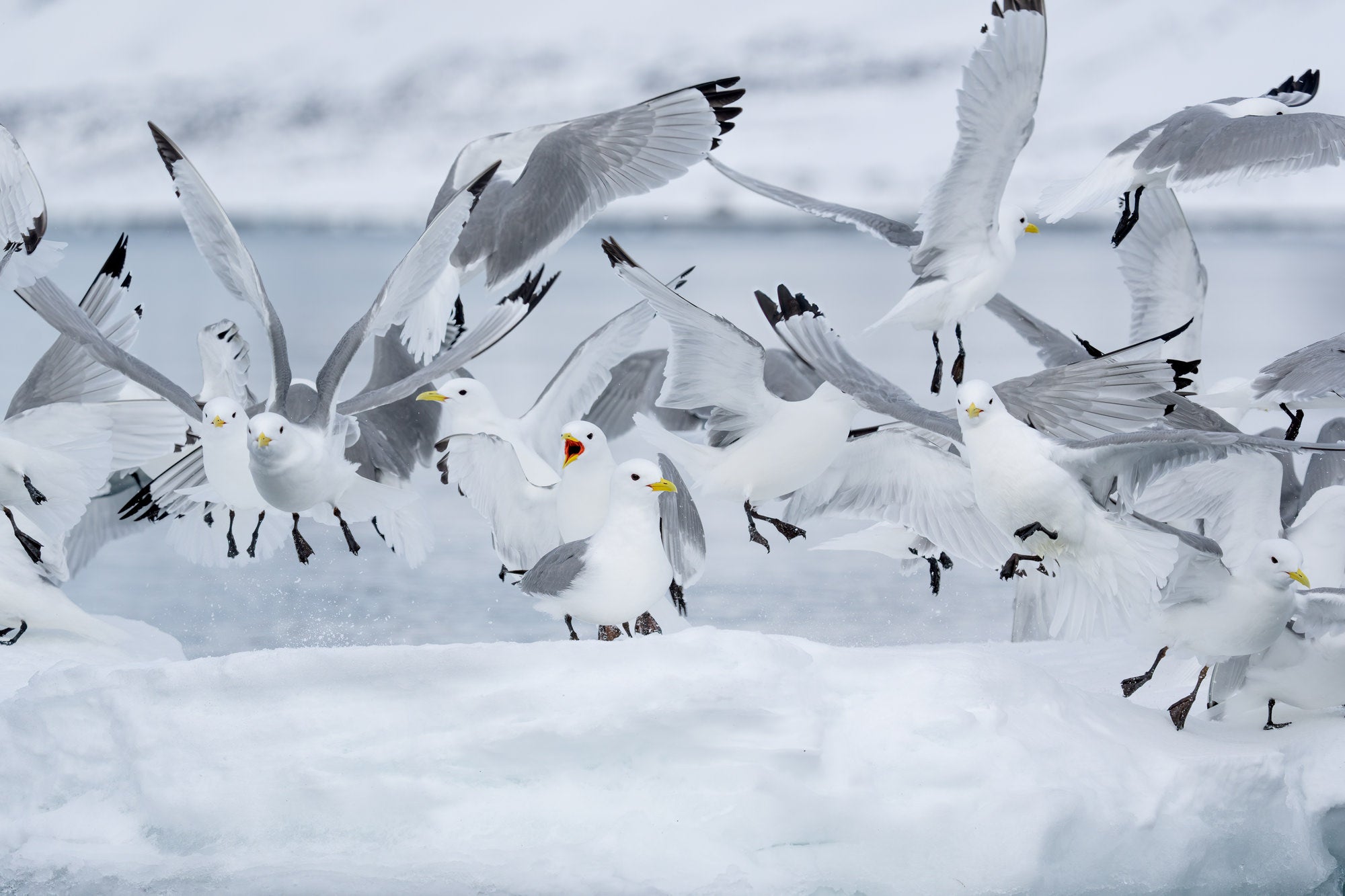 What's In My Bag: A Telephoto Zoom & An Ultra-Wide Prime For