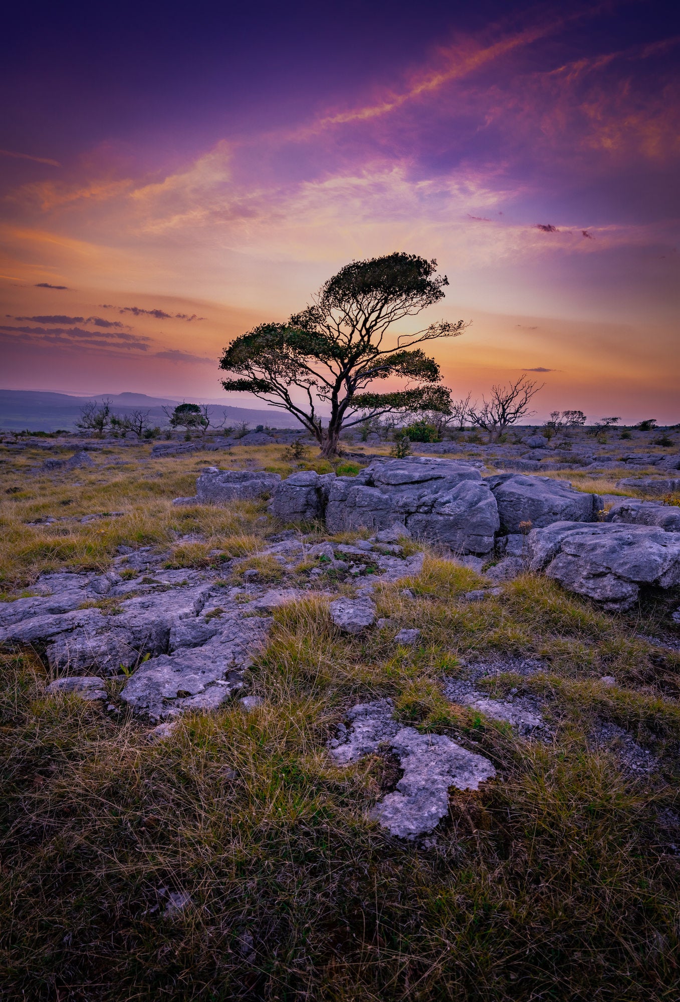 Photo by Jonny Gios. Sony Alpha 7R V. Sony 14mm f/1.8 G Master. 1/100-sec., f/7.1, ISO 125